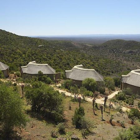 Kuzuko Lodge Addo Εξωτερικό φωτογραφία