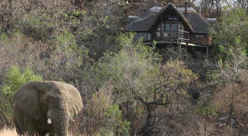 Kuzuko Lodge Addo Εξωτερικό φωτογραφία