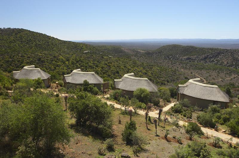 Kuzuko Lodge Addo Εξωτερικό φωτογραφία