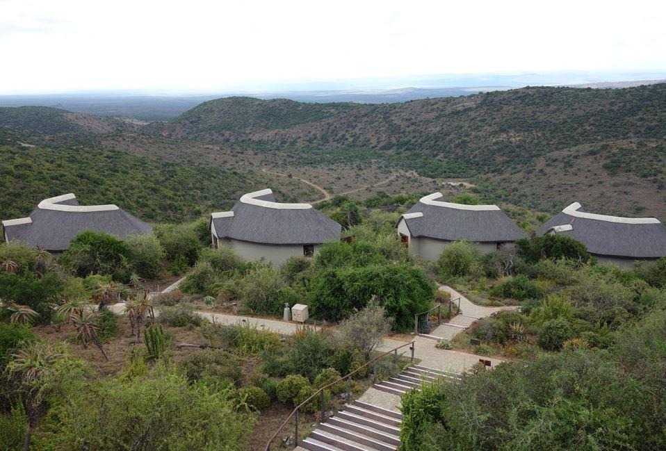 Kuzuko Lodge Addo Εξωτερικό φωτογραφία