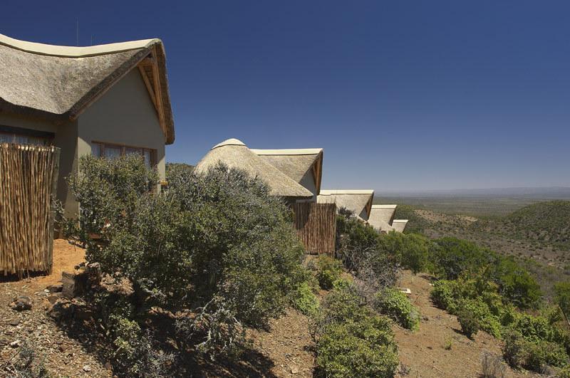 Kuzuko Lodge Addo Εξωτερικό φωτογραφία
