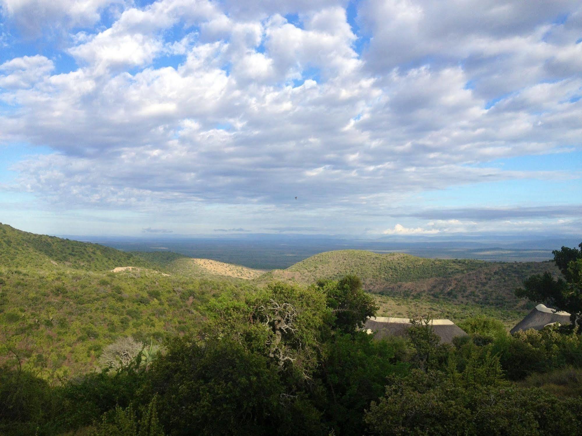 Kuzuko Lodge Addo Εξωτερικό φωτογραφία
