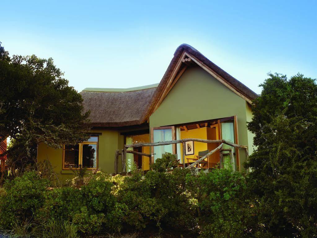 Kuzuko Lodge Addo Εξωτερικό φωτογραφία